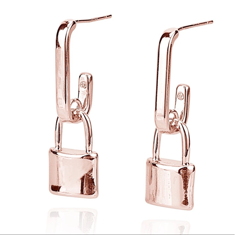 Rose Lock Earrings NWT Vintage Havana